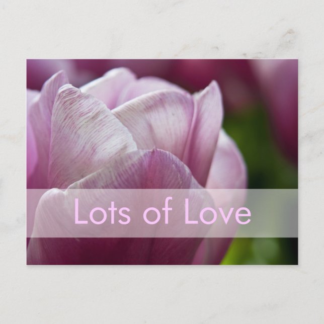 Valentine's Day Card | Valentinskarte Tulpen (Front)