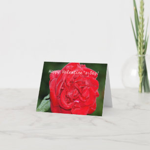 Valentine's Day Card with Red Rose