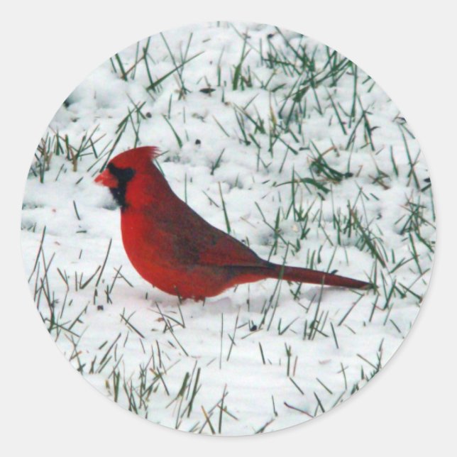 Valentine's Day Cardinal  Classic Round Sticker (Front)
