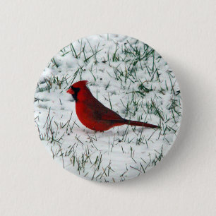 Valentine's Day Cardinal Classic Round Sticker 6 Cm Round Badge