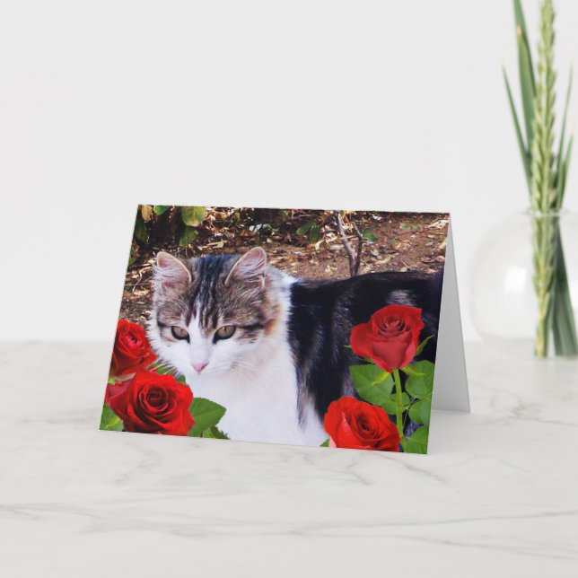 VALENTINE'S DAY CAT WITH RED ROSES HOLIDAY CARD (Front)