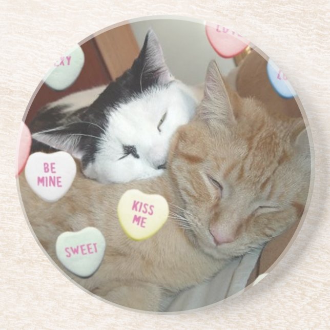 Valentine's Day Cats Coaster (Front)