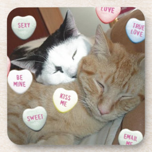 Valentine's Day Cats Coaster