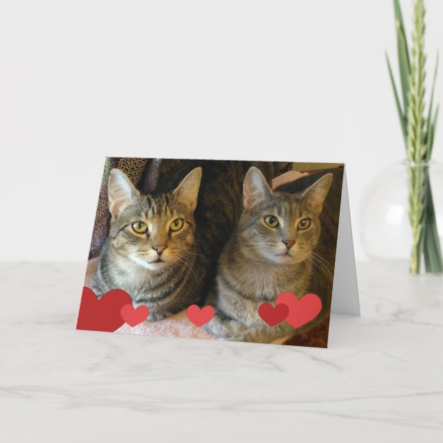 Valentine's Day Cats Holiday Card (Front)