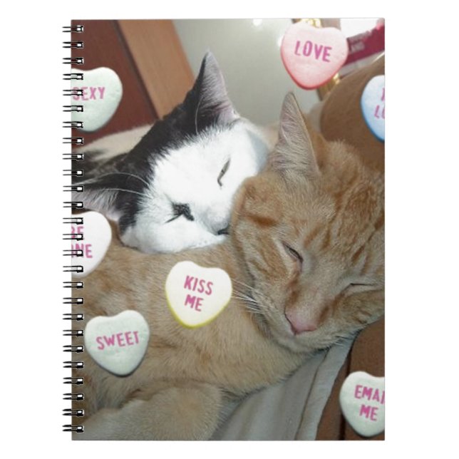 Valentine's Day Cats Notebook (Front)