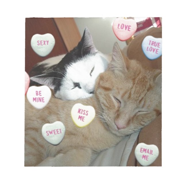 Valentine's Day Cats Notepad (Front)