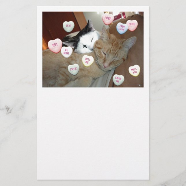 Valentine's Day Cats Stationery (Front)