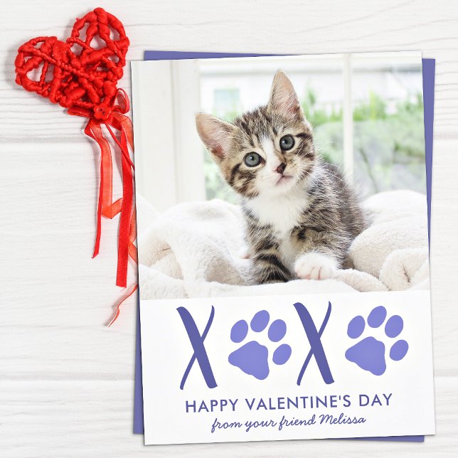 Valentines Day Cute Cat Pet Photo Holiday Card (Creator Uploaded)