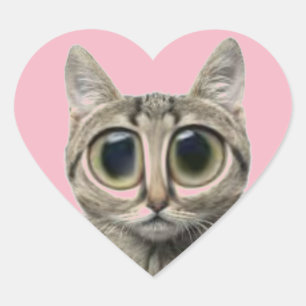 Valentine's Day cute Cat Stickers