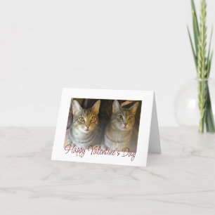 Valentine's Day Cute Cats Red Script Typography  Holiday Card