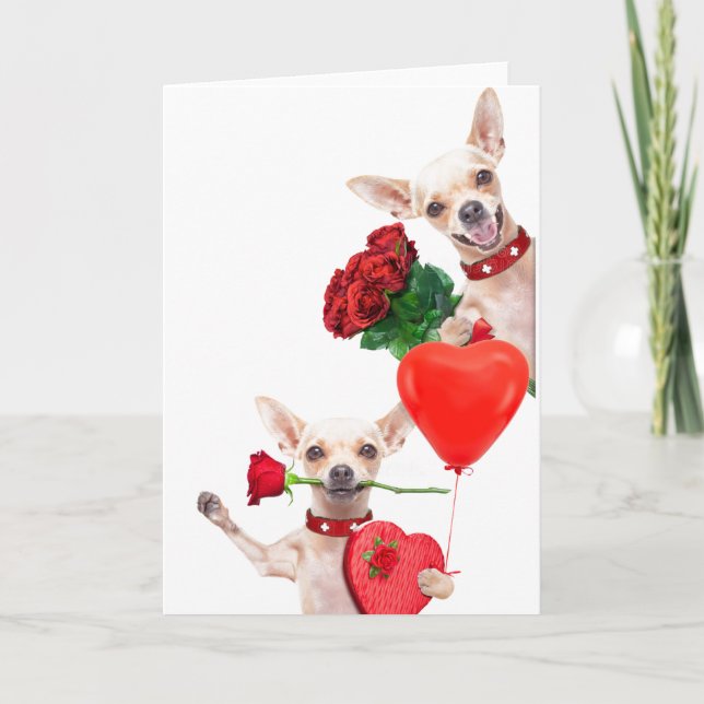 Valentine's Day Cute Funny Chihuahuas with Roses Card (Front)