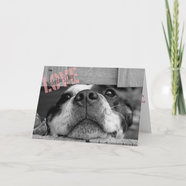 Valentine's day Dog Greeting Card (Front)