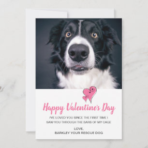 Valentines Day Dog Holiday Card