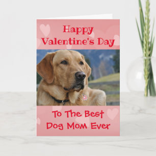 Valentines Day Dog Mum Worlds Best Ever Pet Photo Card