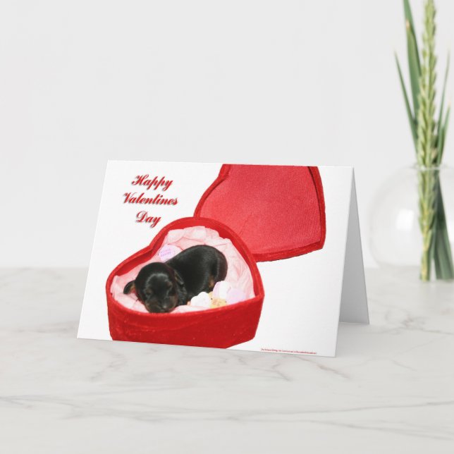 Valentines Day Doxie Holiday Card (Front)