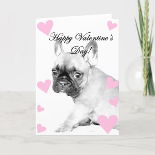 Valentine's Day French Bulldog Holiday Card