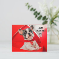 Valentine's Day French Bulldog
