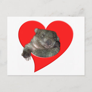 Valentine's Day Gifts, Wombat Love! Holiday Postcard