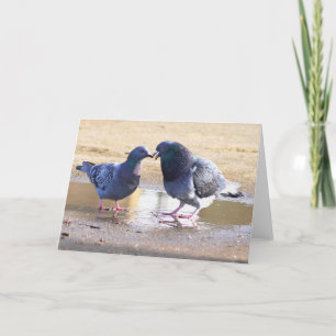 Valentine's Day Holiday Card