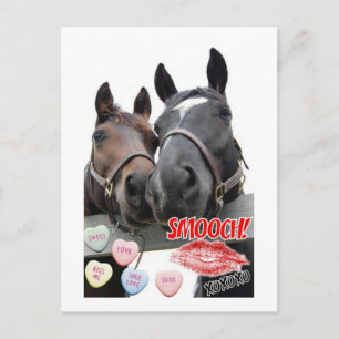 Valentine's Day Horses Holiday Postcard