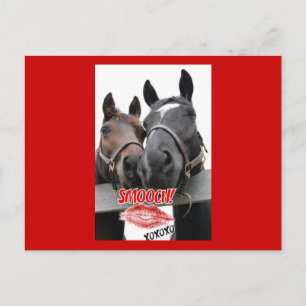 Valentine's Day Horses Holiday Postcard