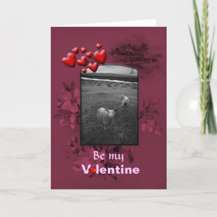 Valentines Day Inquisitive Sheep Holiday Card