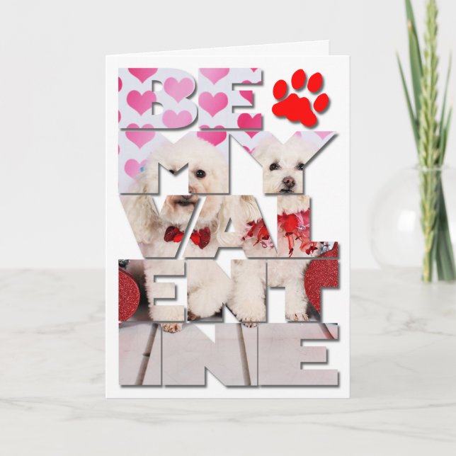 Valentine's Day - Kirby & Shelby - Poodles Holiday Card (Front)
