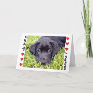Valentine's Day Labrador Puppy Be Mine Holiday Card