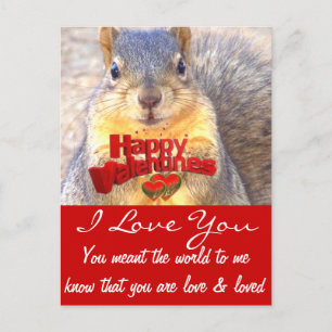 Valentine's Day Love_ Holiday Postcard