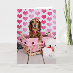 Valentine's Day - Mollie - Dachshund Holiday Card