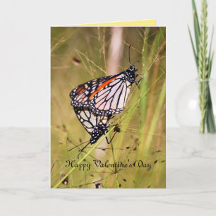 Valentine's Day Monarch Butterfly Pair Holiday Card