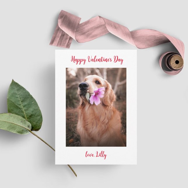 Valentine's Day Photo Dog Holiday Card (Creator Uploaded)