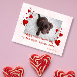 Valentine's Day Photo Template Pet Dog Cat Postcard<br><div class="desc">This design was created through digital art. It may be personalised by clicking the customise button and changing the colour, adding a name, initials or your favourite words. Contact me at colorflowcreations@gmail.com if you with to have this design on another product. Purchase my original abstract acrylic painting for sale at...</div>