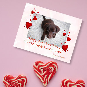 Valentine's Day Photo Template Pet Dog Cat Postcard