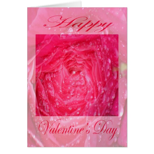 Valentines Day Pink Rose with Rain Drops (Front)