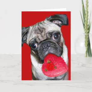 Valentine's Day pug greeting card