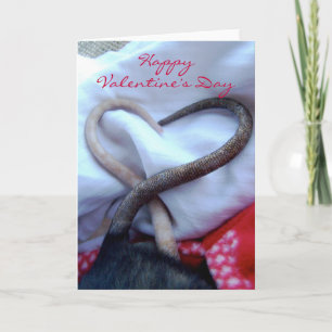 Valentine's Day Rat Card