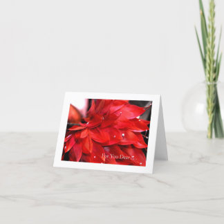 Valentine's Day Red Feather Heart Holiday Card