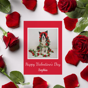 Valentine's Day red roses cute Border Collie dog Holiday Card