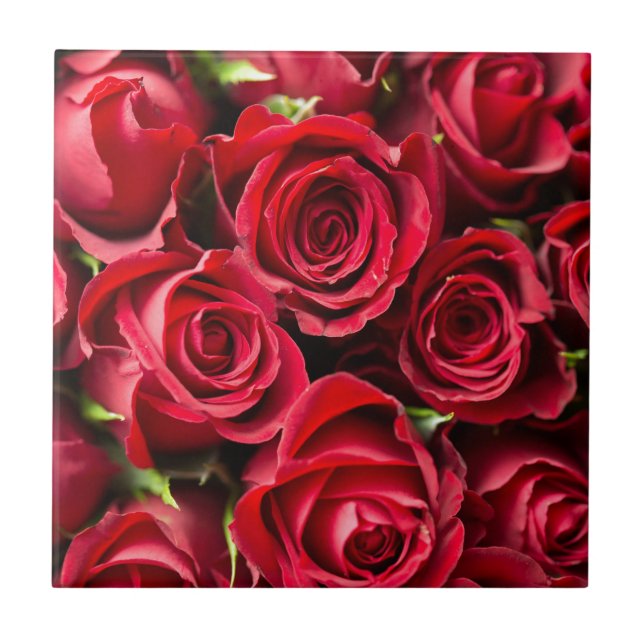 Valentine's Day Red Roses Tile (Front)