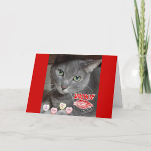Valentine's Day Russian Blue Grey Cat Holiday Card