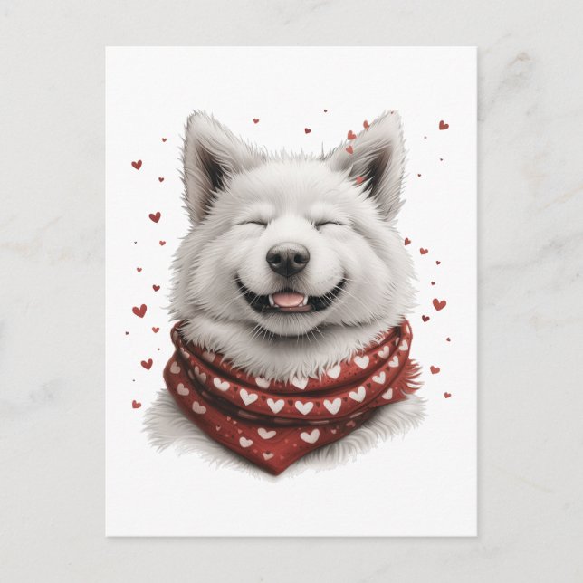 Valentines Day Samoyed Dog Postcard (Front)