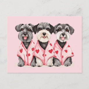 Valentines Day Schnauzer Dogs Holiday Postcard