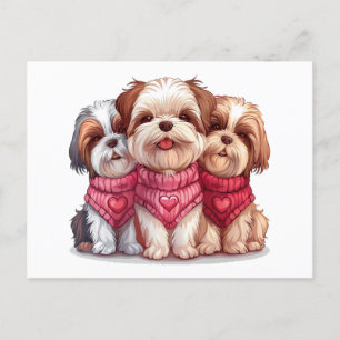 Valentines Day Shih Tzu Dogs Postcard