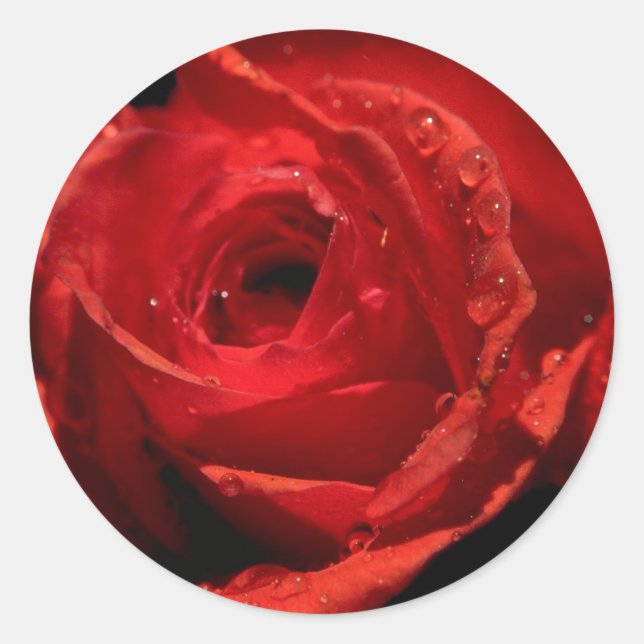 Valentine's Day Stickers (Front)