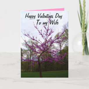 VALENTINES DAY, TO MY WIFE card