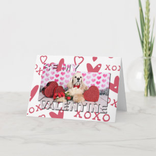 Valentine's Day - Tobey - Cocker Spaniel Holiday Card