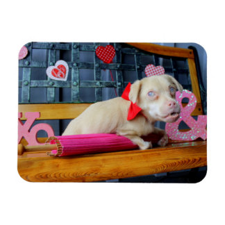 Valentines Day Tucker Magnet