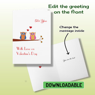 Valentine's Day two cute owls Holiday Card