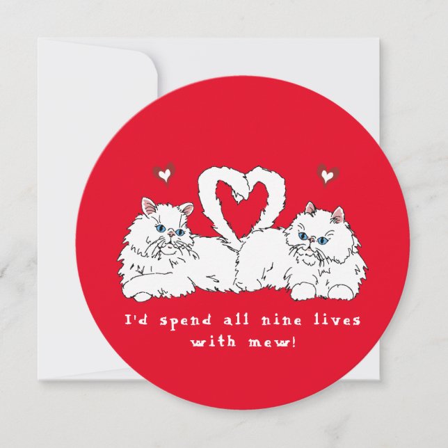 Valentine's Day White Persian Cats with Hearts (Front)